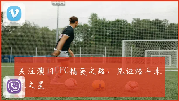 关注澳门UFC精英之路，见证格斗未来之星