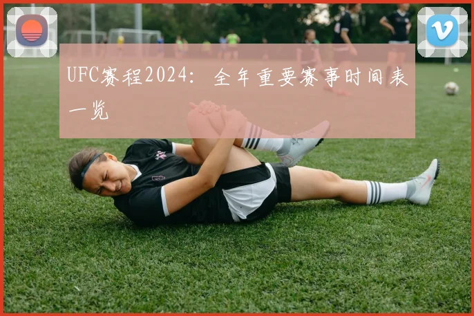 UFC赛程2024:全年重要赛事时间表一览