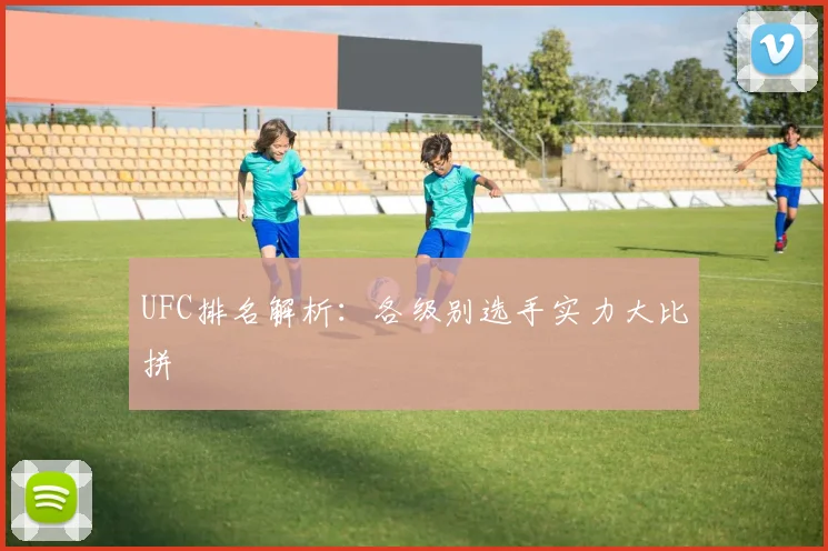 UFC排名解析：各级别选手实力大比拼