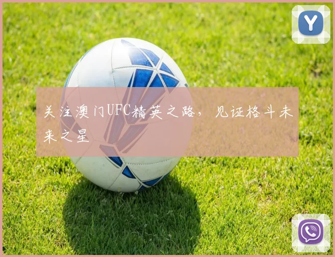 关注澳门UFC精英之路，见证格斗未来之星
