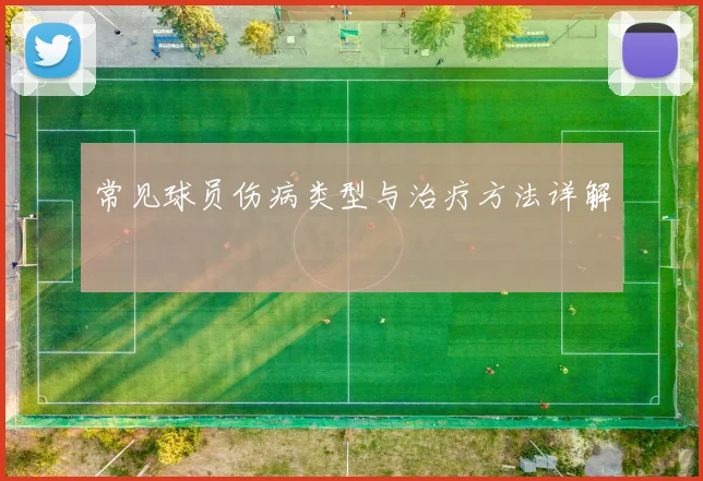 常见球员伤病类型与治疗方法详解