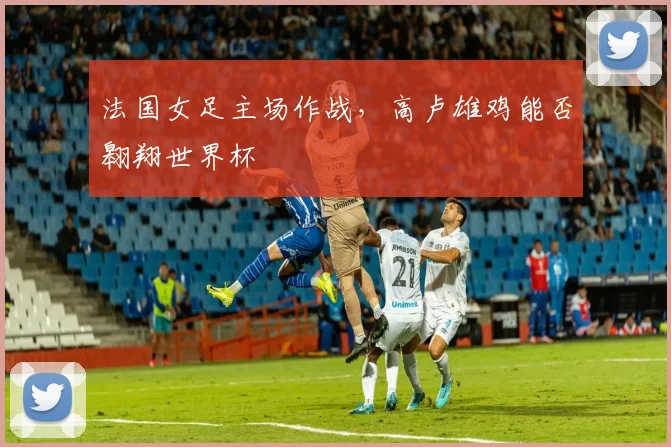 法国女足主场作战，高卢雄鸡能否翱翔世界杯